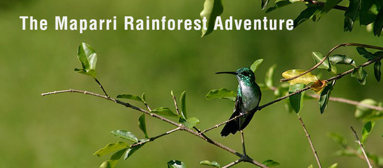 Rupununi Trails - The Maparri Rainforest Adventure